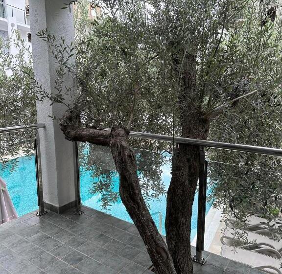 اتاق استاندارد, Vile Oliva Hotel & Resort