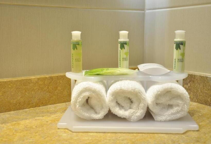 스탠다드 룸, Holiday Inn Express & Suites Bogota Zona Financiera, An Ihg