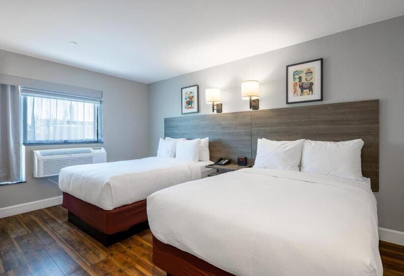 Standard Room Double Bed City View, The Lodge Red Hook