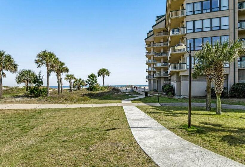 Апартаменты 3 Спальни, Ocean Club 1301