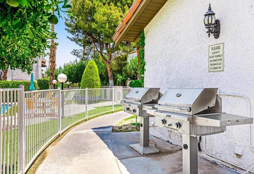 Huoneisto 3 Makuuhuonetta, Mountain View Modern Condo Permit# 4340