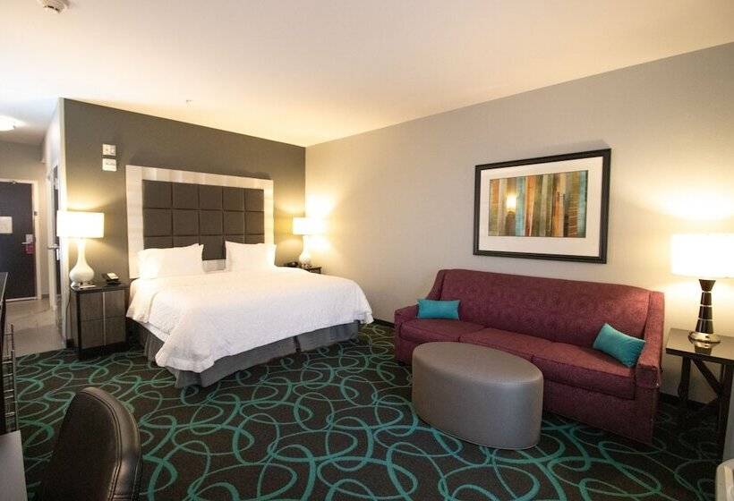 스탠다드 룸 킹사이즈 침대, Hampton Inn Kearney