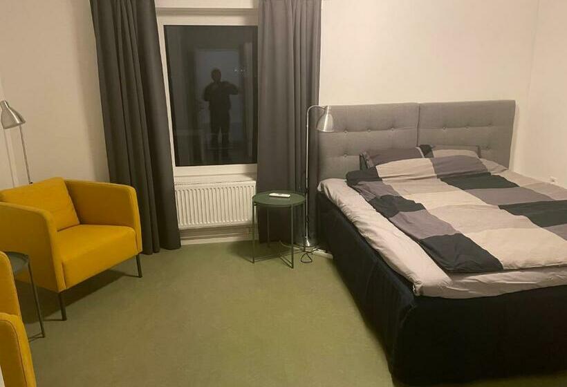 Номер Стандарт, L Silverborgen