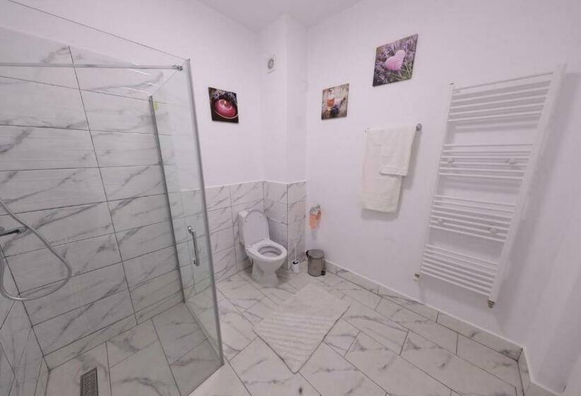اتاق استاندارد, Casa Cojocaru