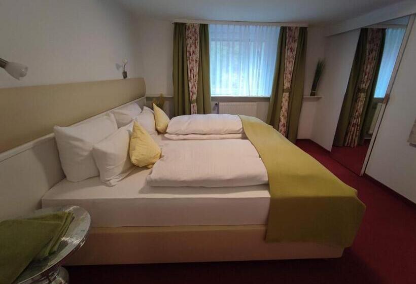 Апартаменты 1 Спальня, Room In Guest Room   Pension Forelle   Doppelzimmer