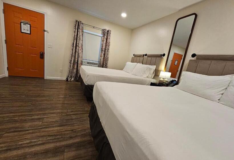 标准间, The Honey Bee Motel