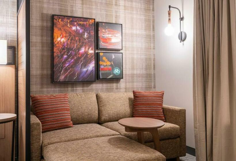 Студио Стандарт Кровать Кинг, Residence Inn By Marriott San Francisco Airport Millbrae Station