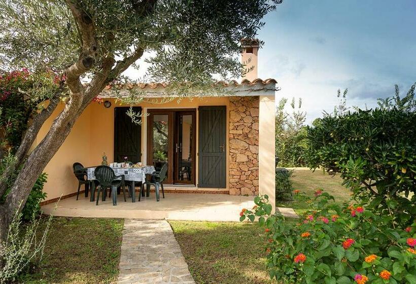 آپارتمان 1 خوابه همکف, Residence Il Melograno