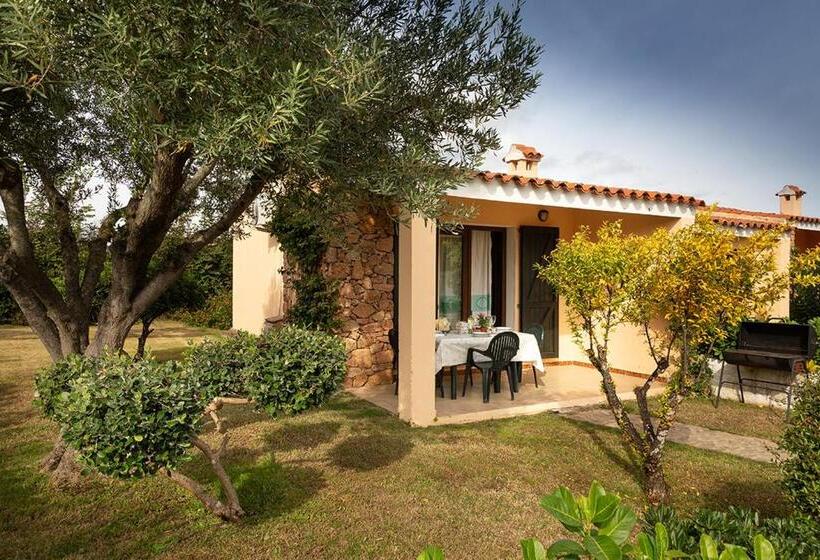 آپارتمان سوپریور 1 خوابه, Residence Il Melograno
