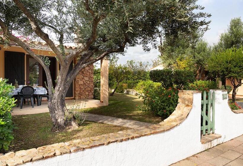 آپارتمان سوپریور 1 خوابه, Residence Il Melograno