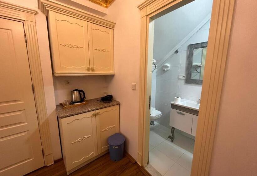 １ベッドルームのデラックスアパートメント, Saffron Hotel Old City