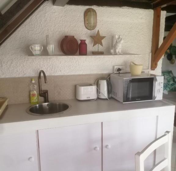بنگله خانوادگی, Chillpill Guest House