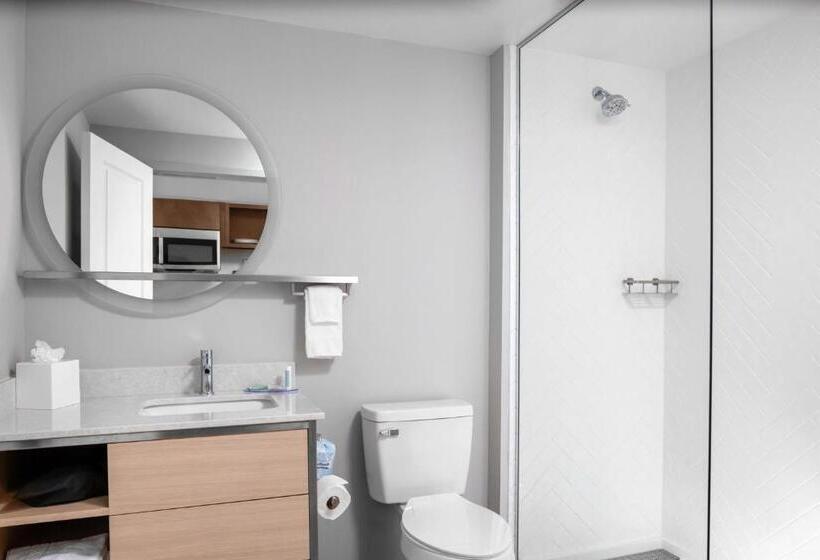 Студио Стандарт Кровать Кинг, Towneplace Suites By Marriott Tampa Clearwater