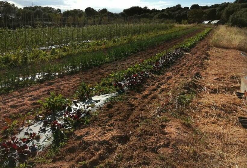 Студия Стандарт, Agriturismo Prendas De Sole