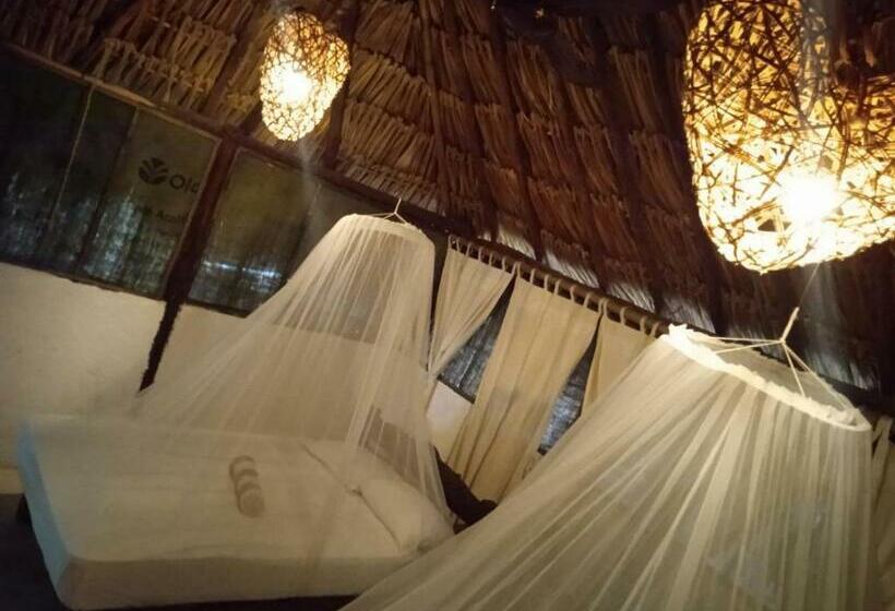 スタンダードトリプルルーム, Casa Jade Ecobungalows Las Coloradas