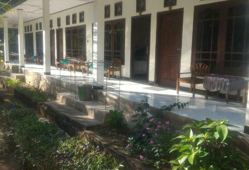 Номер Стандарт, Bintang Wisata Riung