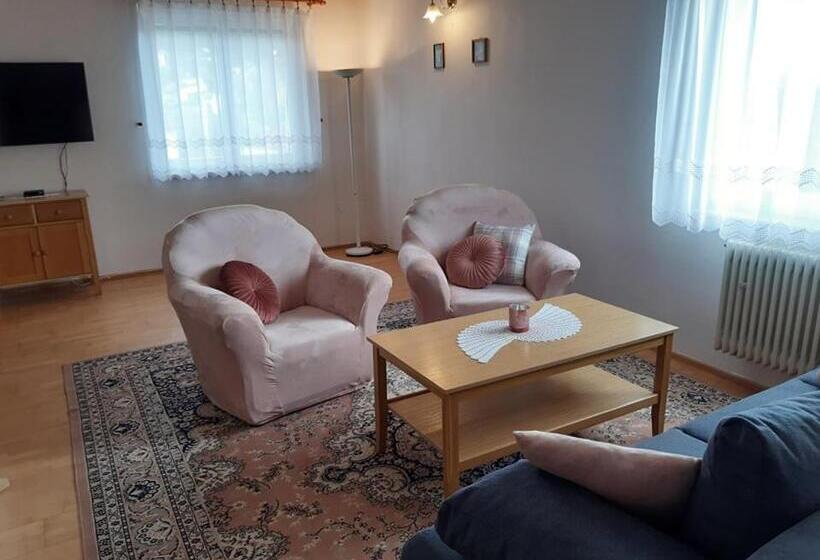 Апартаменты Deluxe 1 Спальня, Penzión šefčík