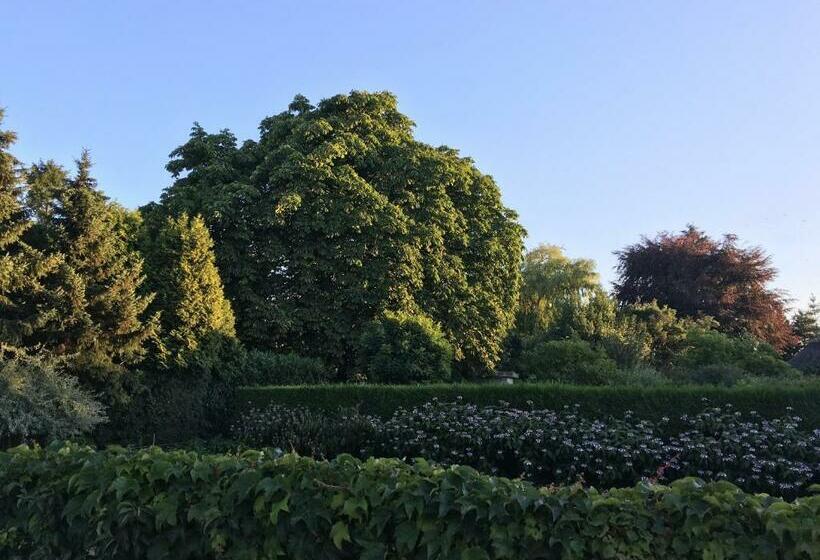 스탠다드 룸 공동 욕실, La Nuova Casa Del Campo