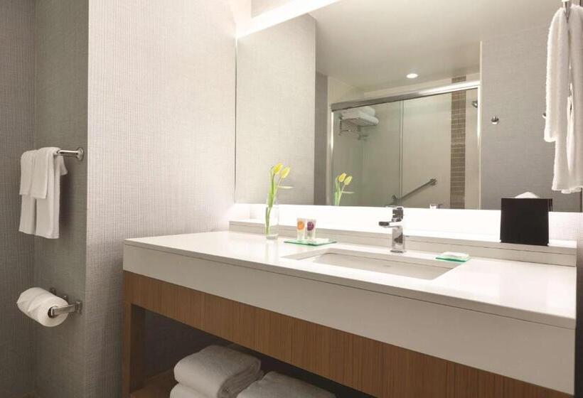 اتاق استاندارد با تخت بزرگ, Hyatt Place At Anaheim Resort/convention Center