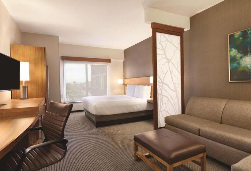 اتاق استاندارد با تخت بزرگ برای معلولان, Hyatt Place At Anaheim Resort/convention Center
