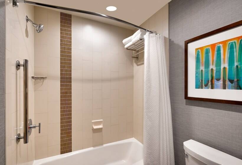 اتاق استاندارد برای معلولان, Hyatt Place At Anaheim Resort/convention Center