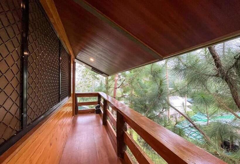 خانه 1 خوابه, Dahilayan Comfy Cabin