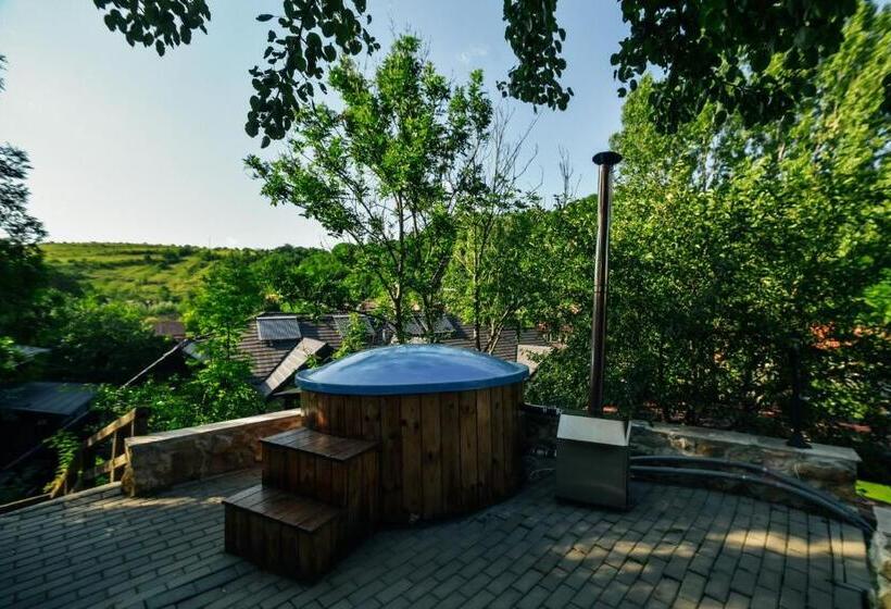 Дом 1 Спальня, Pensiunea Casa Dacilor