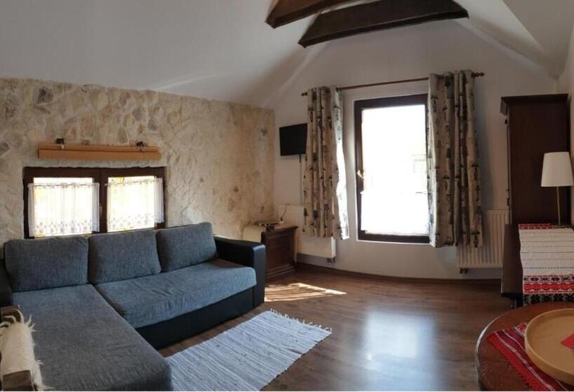 Апартаменты 1 Спальня, Pensiunea Casa Dacilor