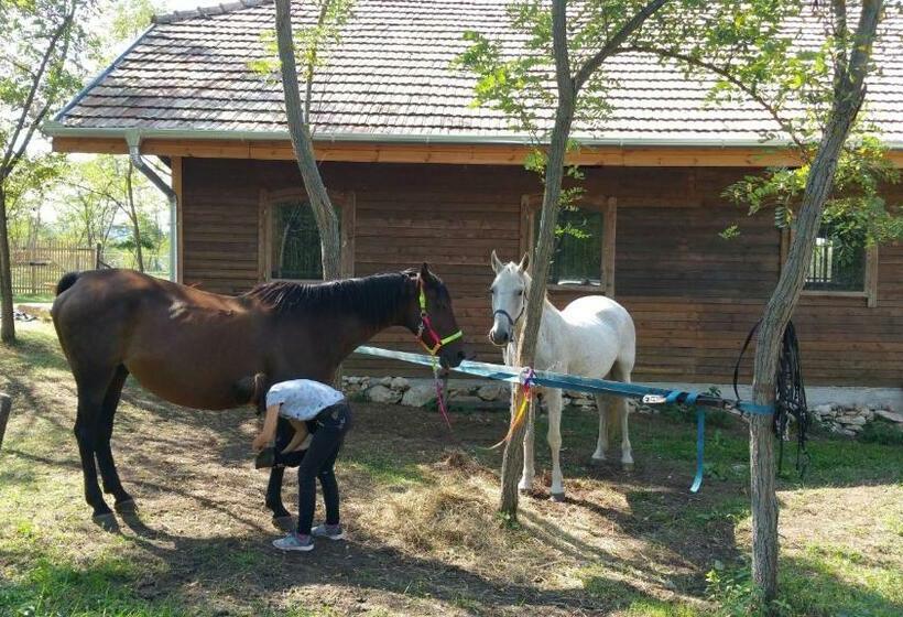 Дом 1 Спальня, Derű Vendégház és Lovasudvar