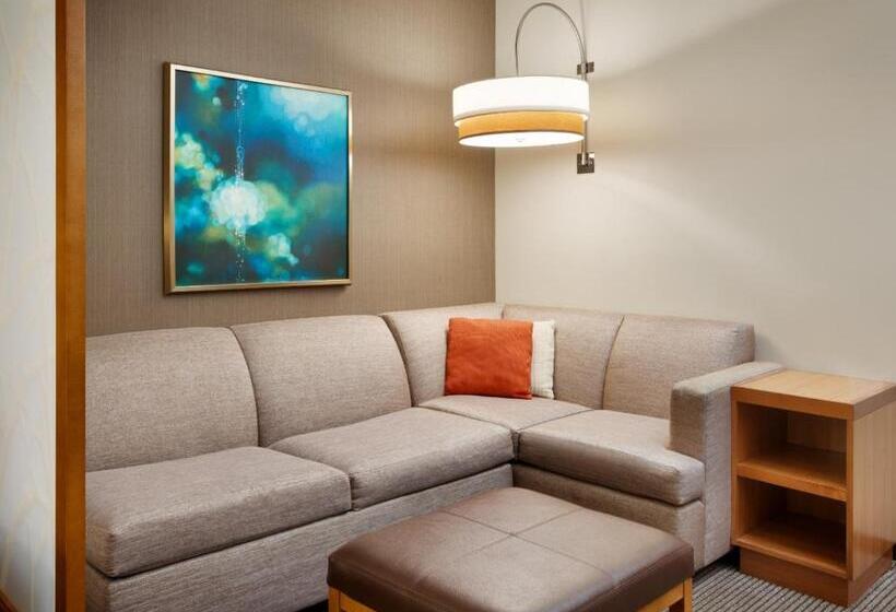 스탠다드 룸 수피리어 층, Hyatt Place Miami Airport East