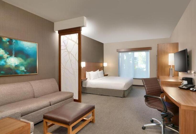 장애인을 위한 스탠다드 룸, Hyatt Place Miami Airport East