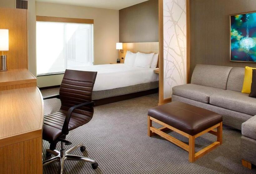 장애인을 위한 킹사이즈 침대 스탠다드 룸, Hyatt Place Miami Airport East