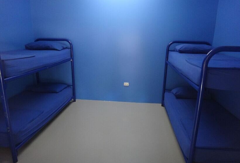 공동 객실, Cable Beach Backpackers   Hostel