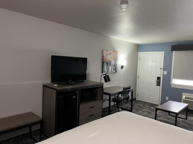 豪华单人间, Garden Inn & Suite