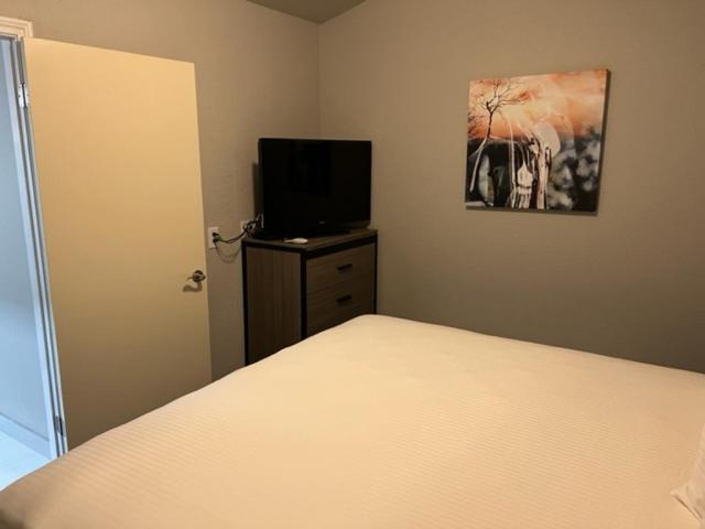 豪华单人间, Garden Inn & Suite