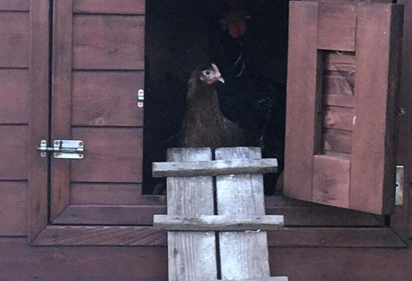 Дом 4 Спальни, Home Vendégház