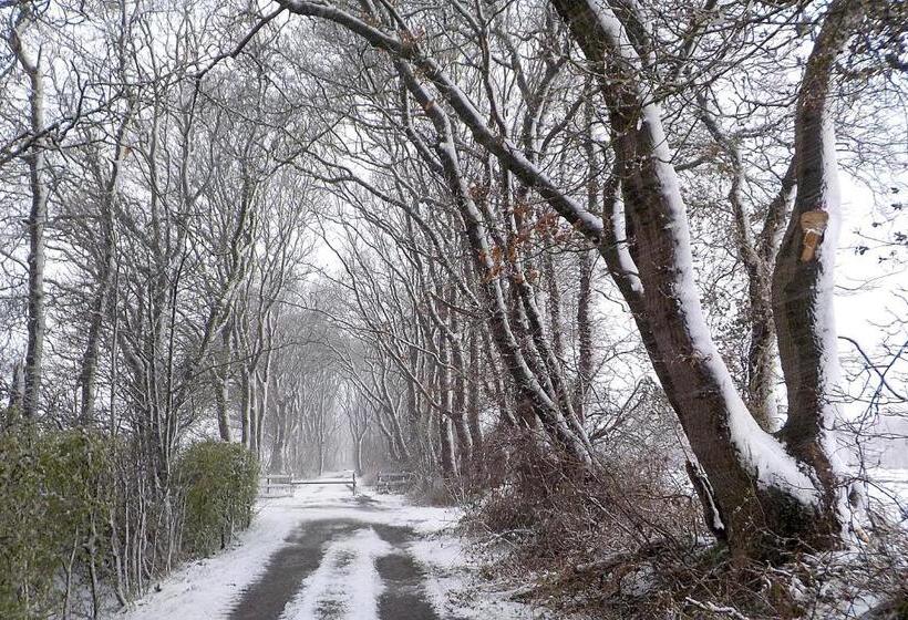 Дом 1 Спальня, Natuurhuisje  T Poepekrus