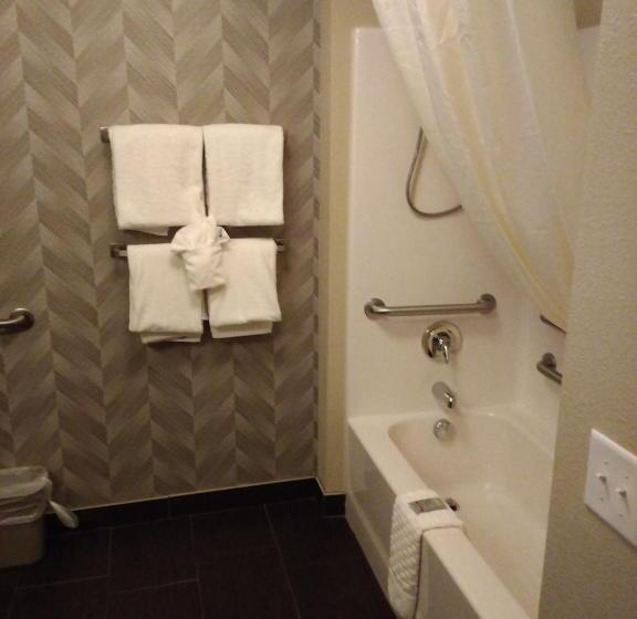 适合残疾人士使用的带超级大床的标准间, Best Western Roosevelt Place