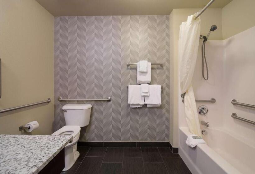 适合残疾人使用的标准间, Best Western Roosevelt Place