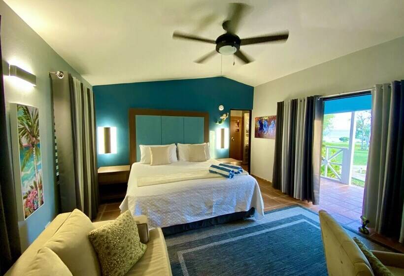 اتاق استاندارد با تخت بزرگ, Blue Horizon Boutique Resort