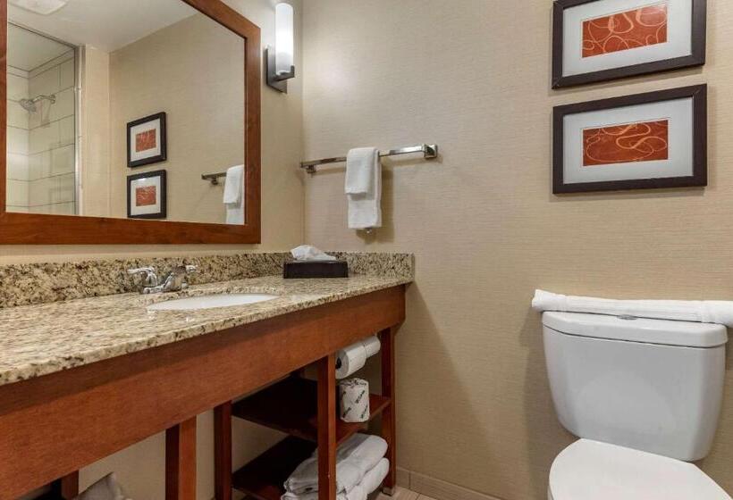 Люкс Кровать Кинг, Comfort Suites Bridgeport  Clarksburg