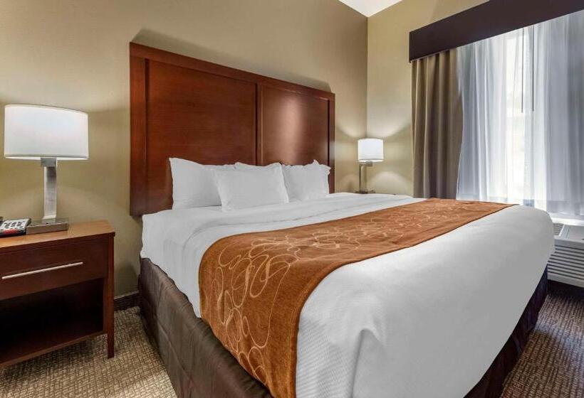 Люкс Кровать Кинг, Comfort Suites Bridgeport  Clarksburg