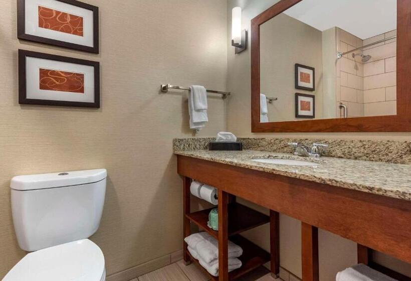 Люкс, Comfort Suites Bridgeport  Clarksburg