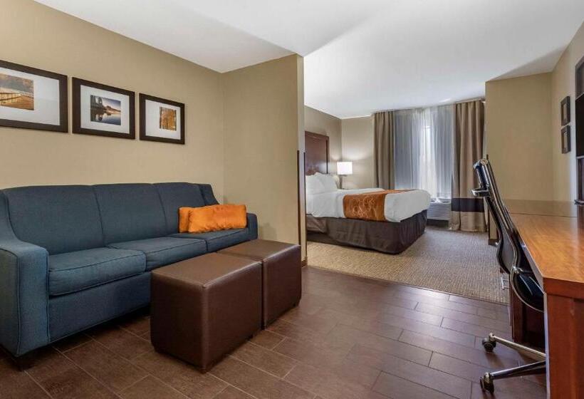 Люкс Адаптированный для Инвалидов, Comfort Suites Bridgeport  Clarksburg