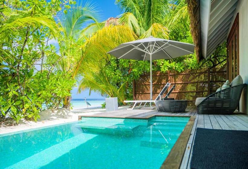 ویلای یک اتاق خوابه با استخر شنا, Kandolhu Maldives