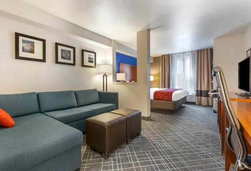 스위트 킹사이즈 침대, Comfort Suites Redding  Shasta Lake