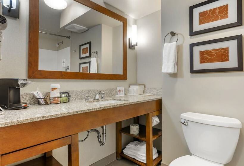 스위트, Comfort Suites Redding  Shasta Lake