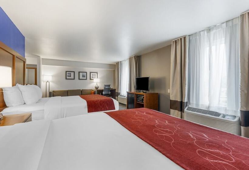 장애인을 위한 스위트, Comfort Suites Redding  Shasta Lake