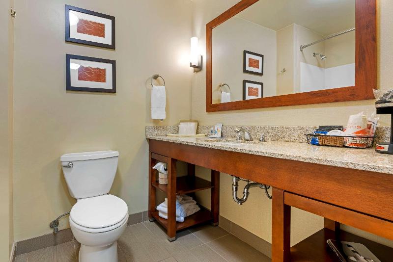 스위트 킹사이즈 침대, Comfort Suites Redding  Shasta Lake