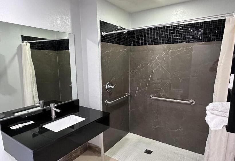 Номер Стандарт Кровать Кинг Адаптированный для Инвалидов, Xpress Inn & Extended Stays